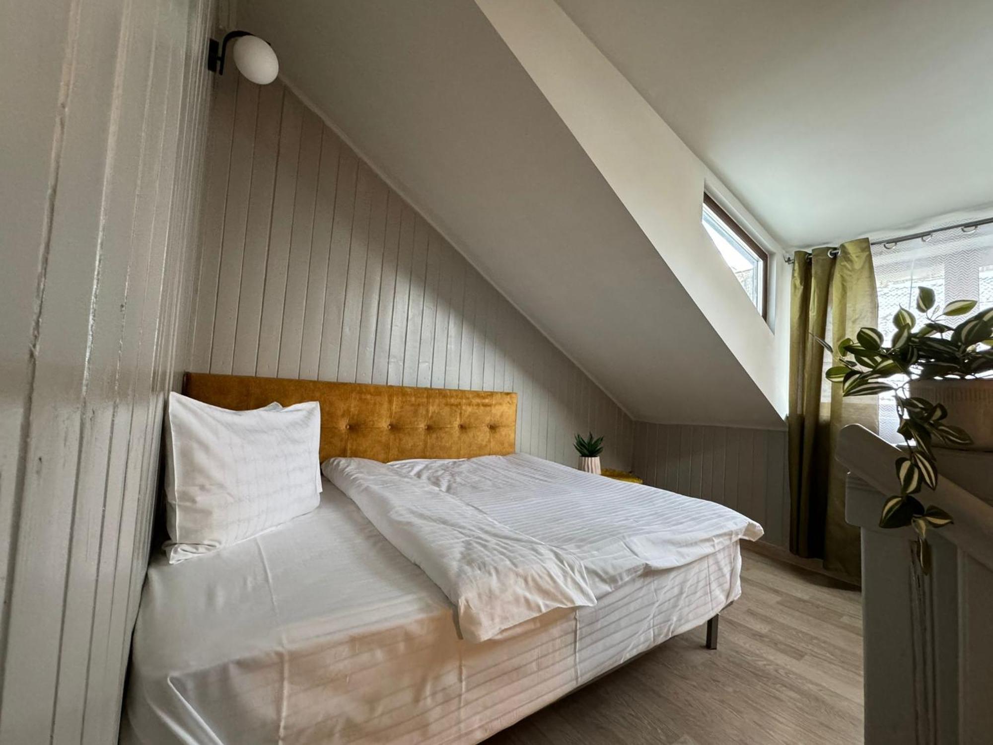 Central Stay Brasov Bagian luar foto