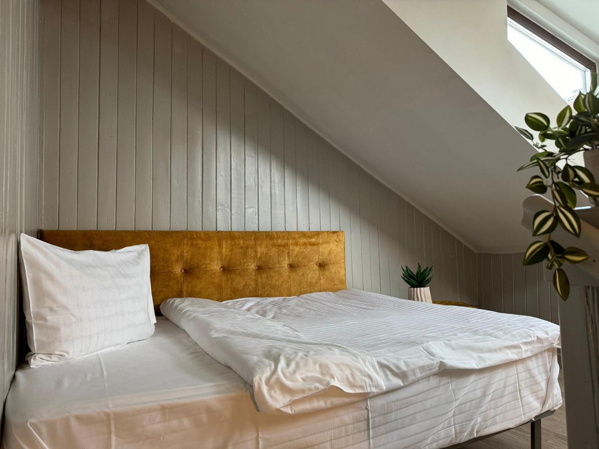 Central Stay Brasov Bagian luar foto