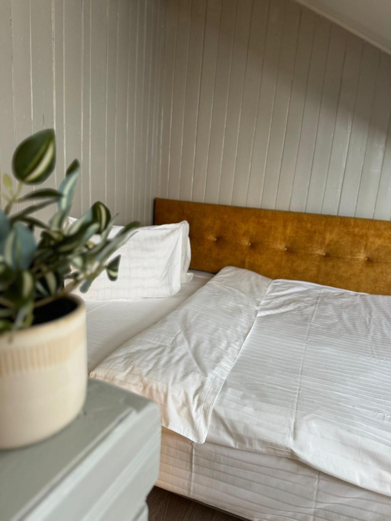 Central Stay Brasov Bagian luar foto
